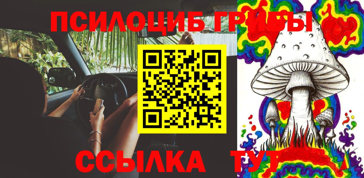 Псилоцибиновые грибы Psilocybe Изобильный