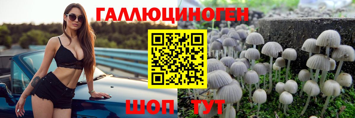 Изобильный  Псилоцибиновые грибы прущие грибы  Вход с VPN 