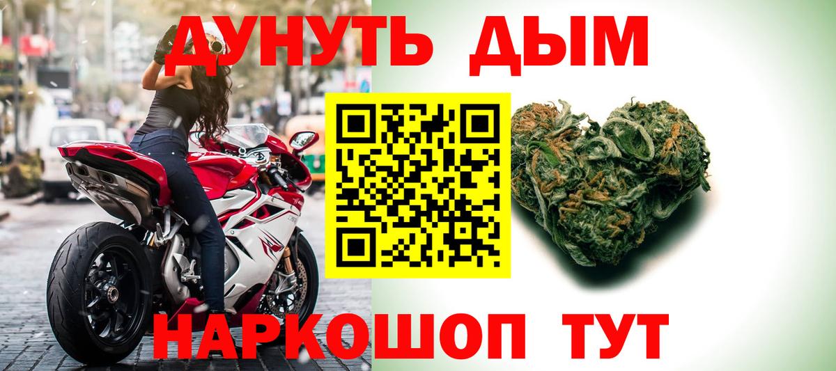 Изобильный  Каннабис сатива  Бошки Шишки сатива  Каннабис план  Вход с VPN 
